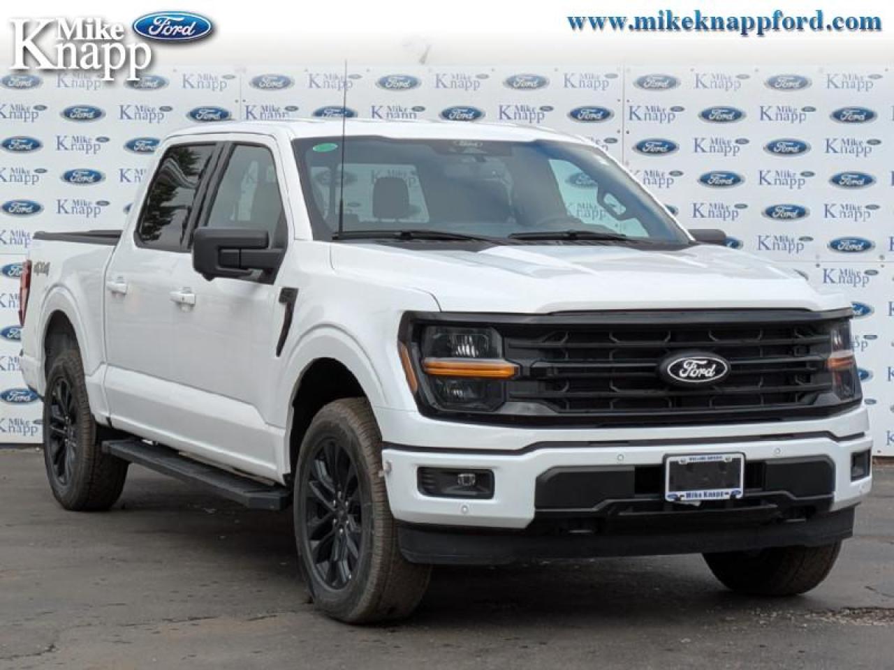 2025 Ford F-150 XLT Photo
