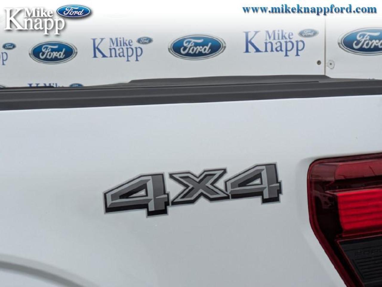 2025 Ford F-150 XLT Photo