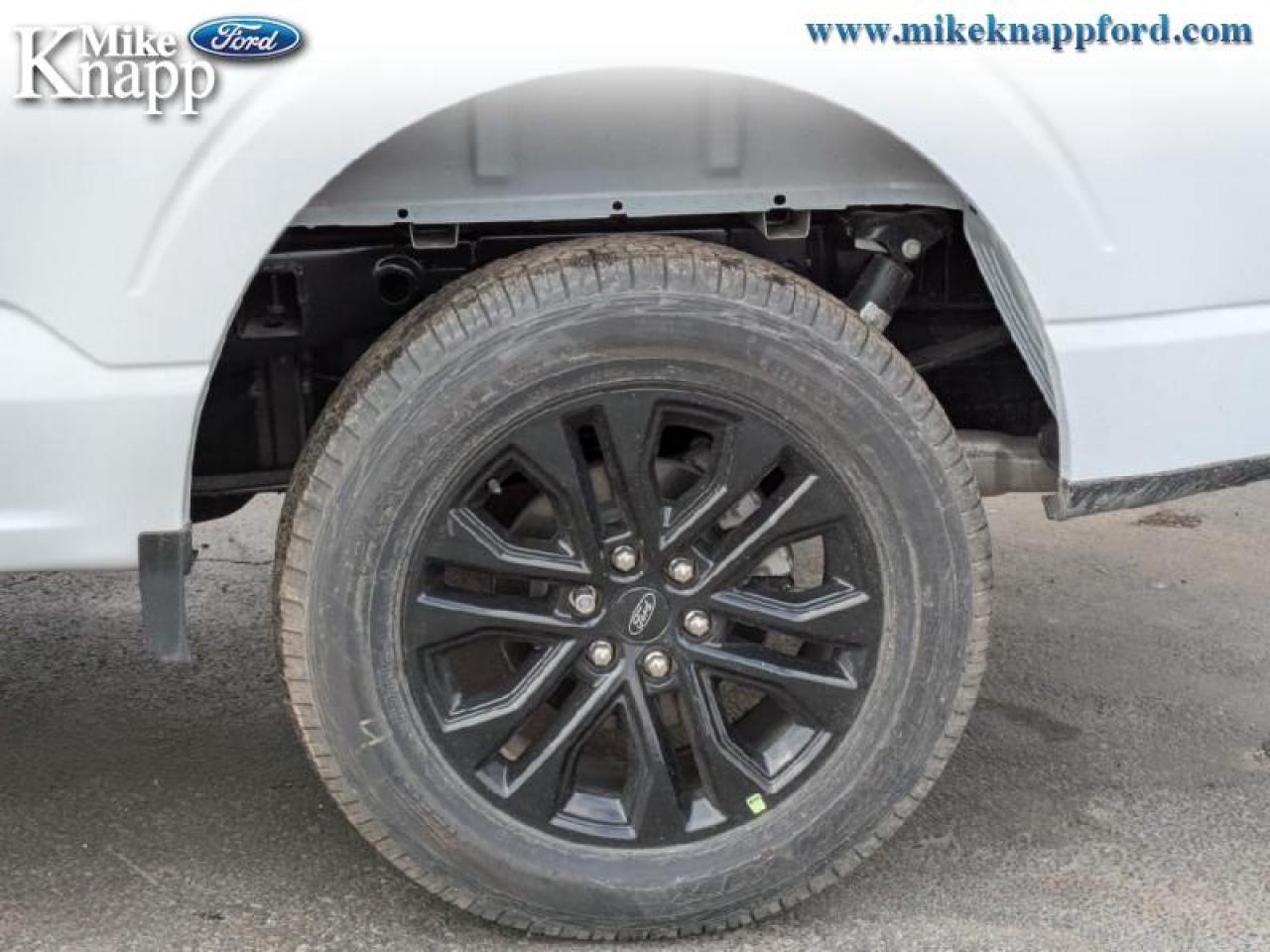 2025 Ford F-150 XLT Photo