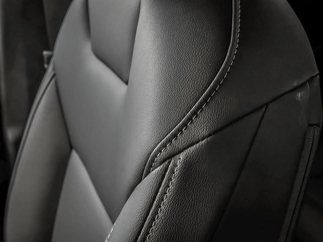 2025 Nissan Murano SV 4dr All-wheel Drive Photo