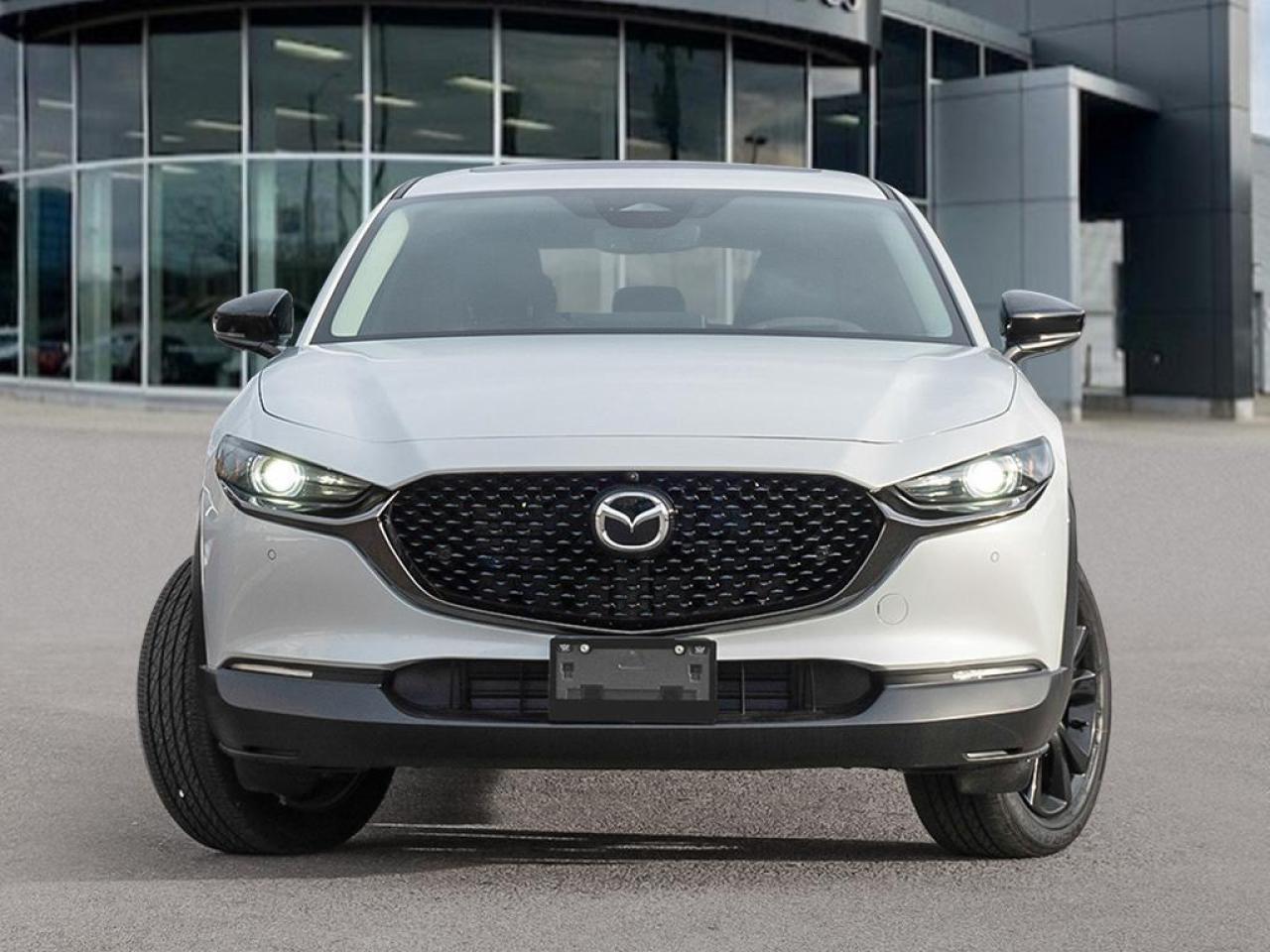 2025 Mazda CX-30 GT w/Turbo 4dr i-ACTIV All-Wheel Drive Sport Utility Photo