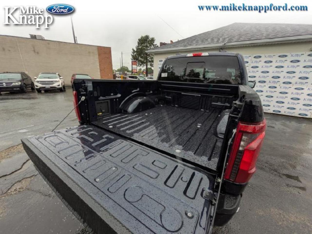 2025 Ford F-150 XLT Photo