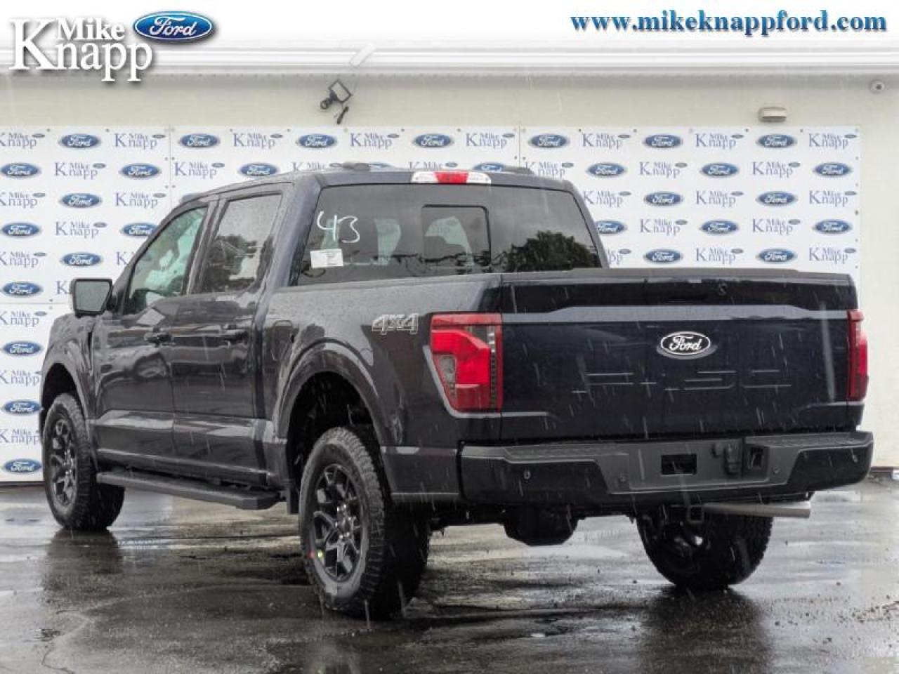 2025 Ford F-150 XLT Photo2