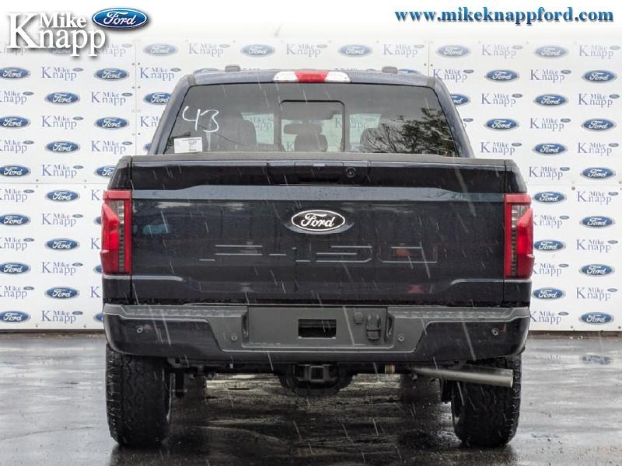 2025 Ford F-150 XLT Photo