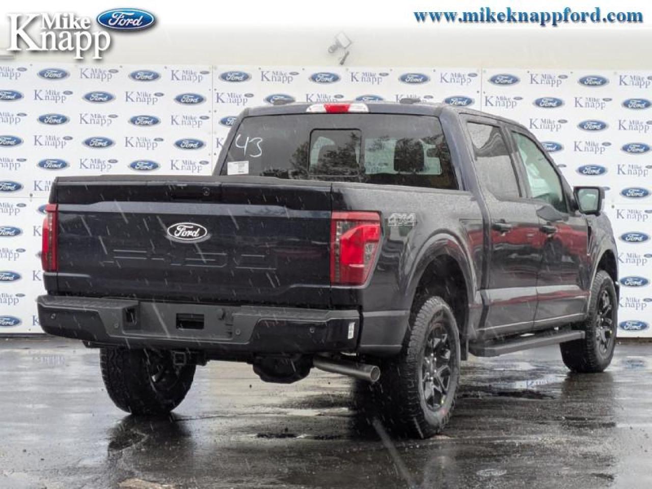 2025 Ford F-150 XLT Photo