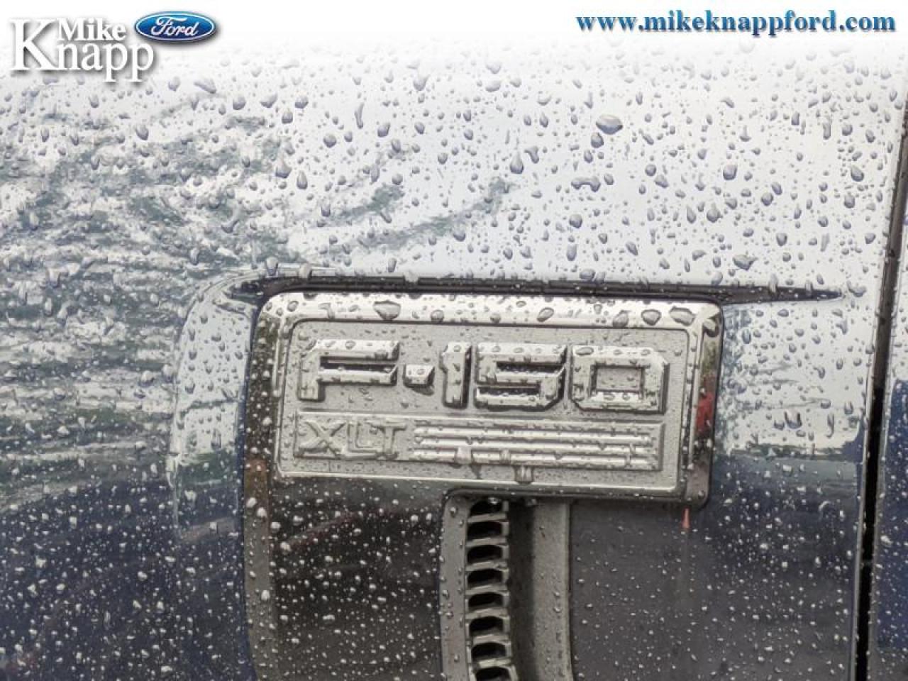 2025 Ford F-150 XLT Photo