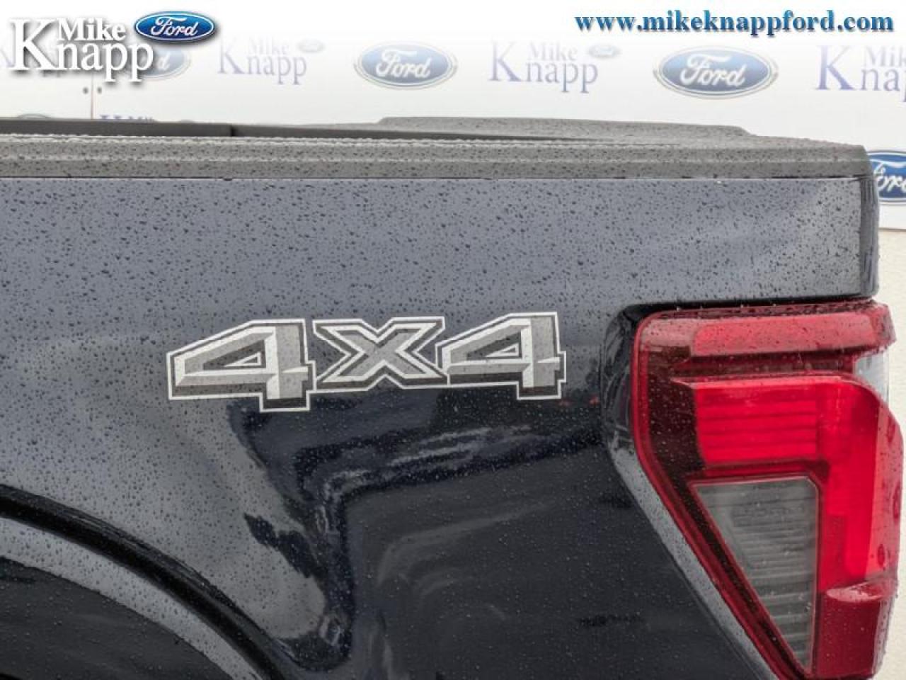 2025 Ford F-150 XLT Photo