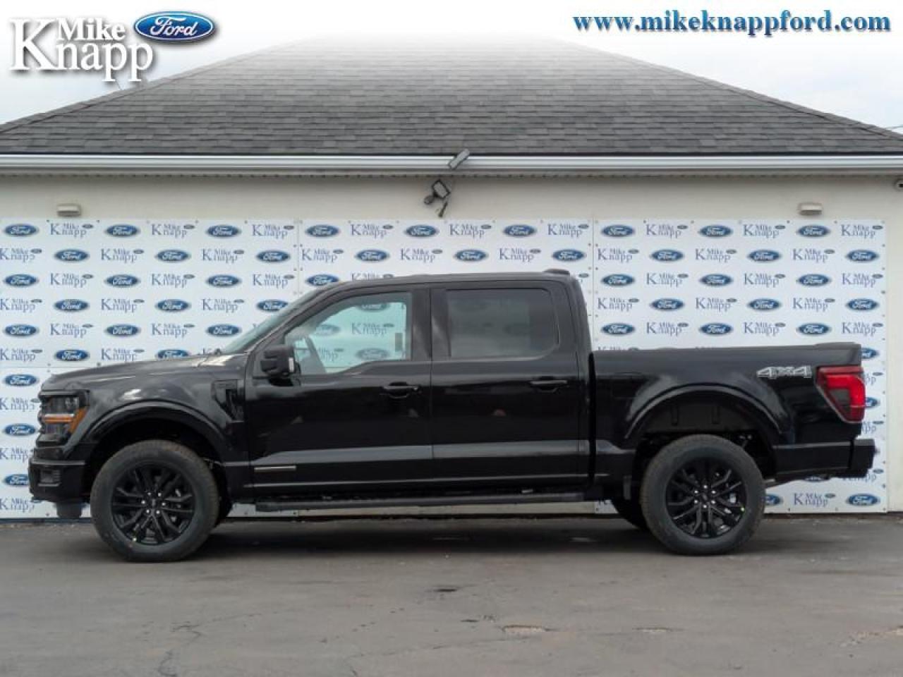 2025 Ford F-150 XLT Photo