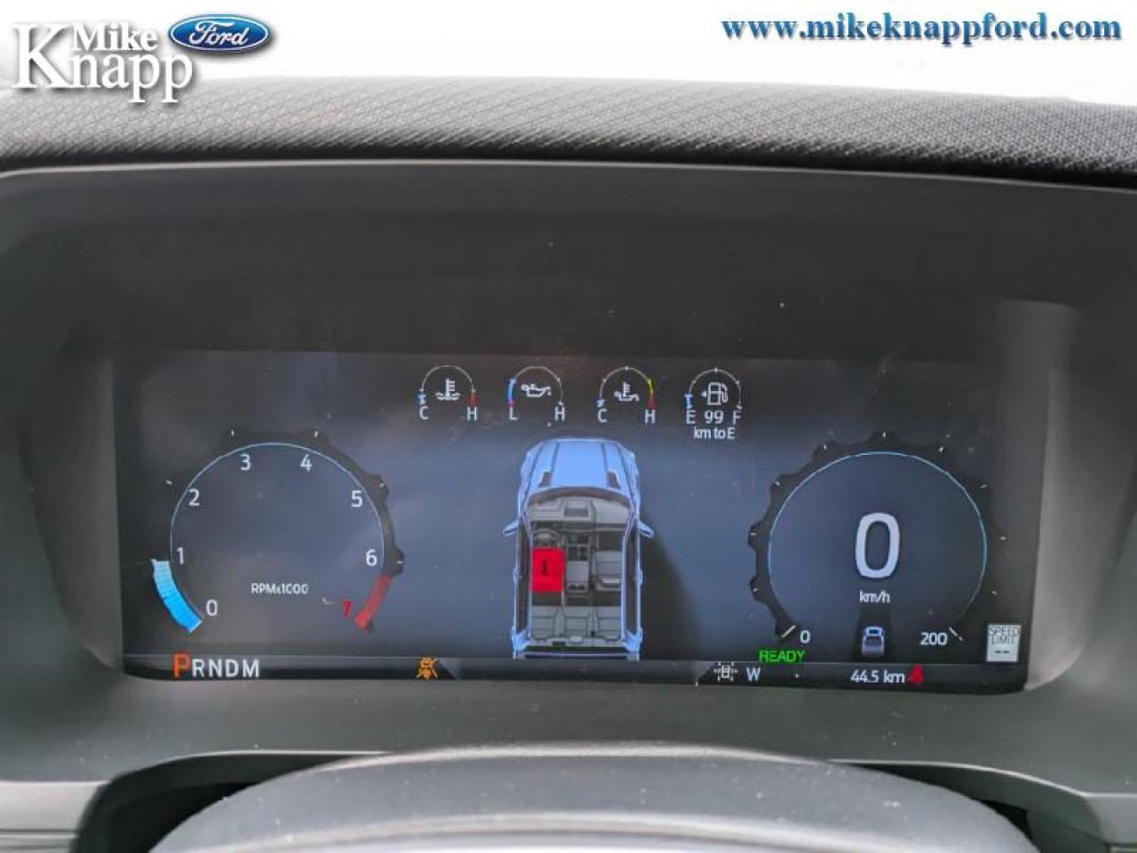 2025 Ford F-150 XLT Photo