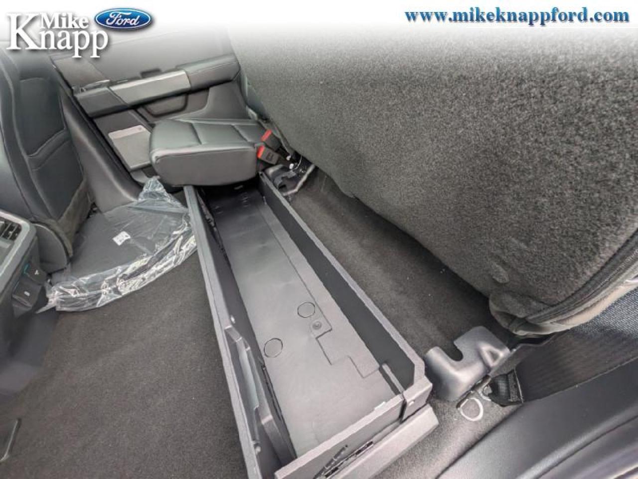 2025 Ford F-150 XLT Photo