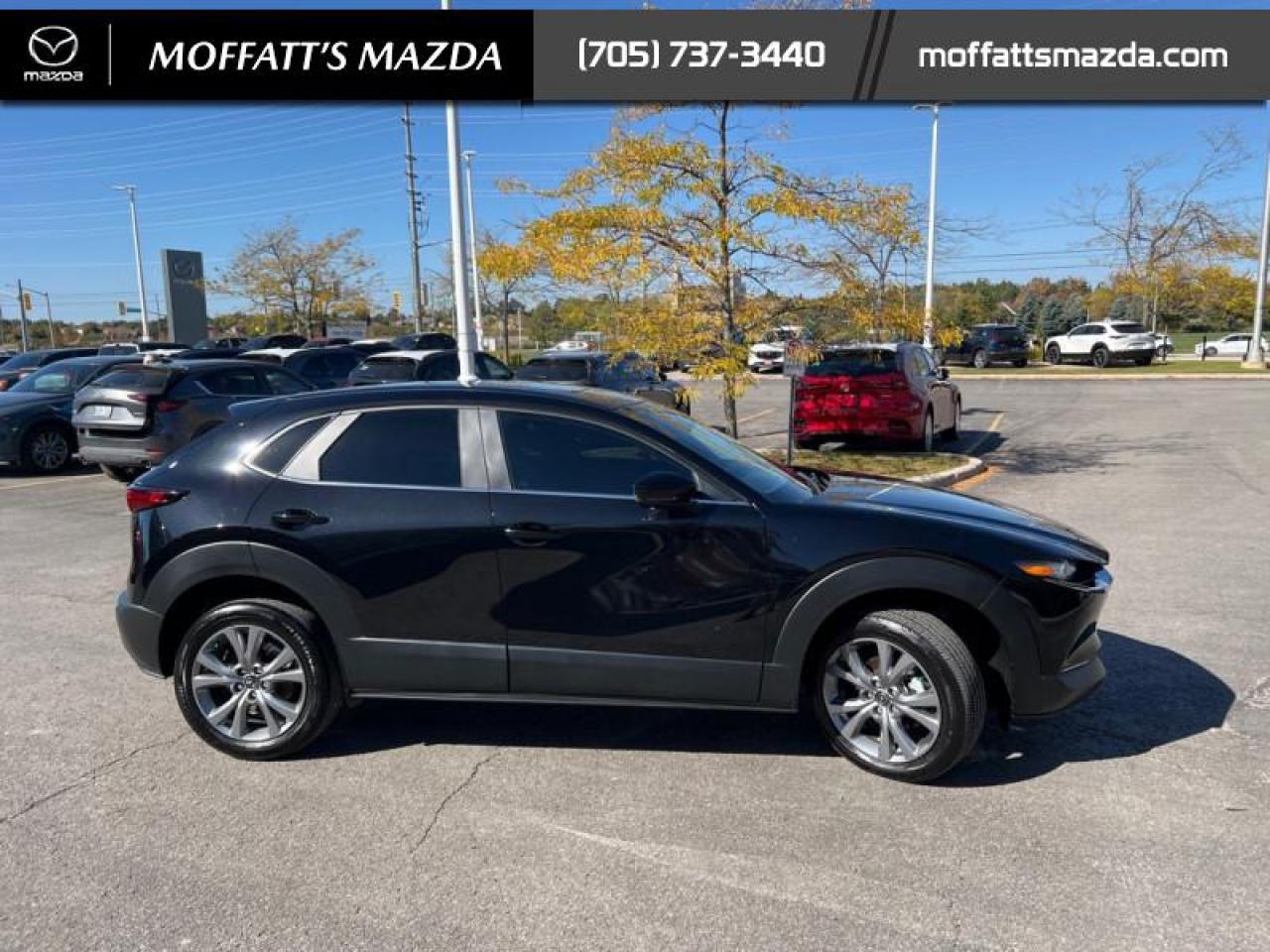2025 Mazda CX-30 GS Photo