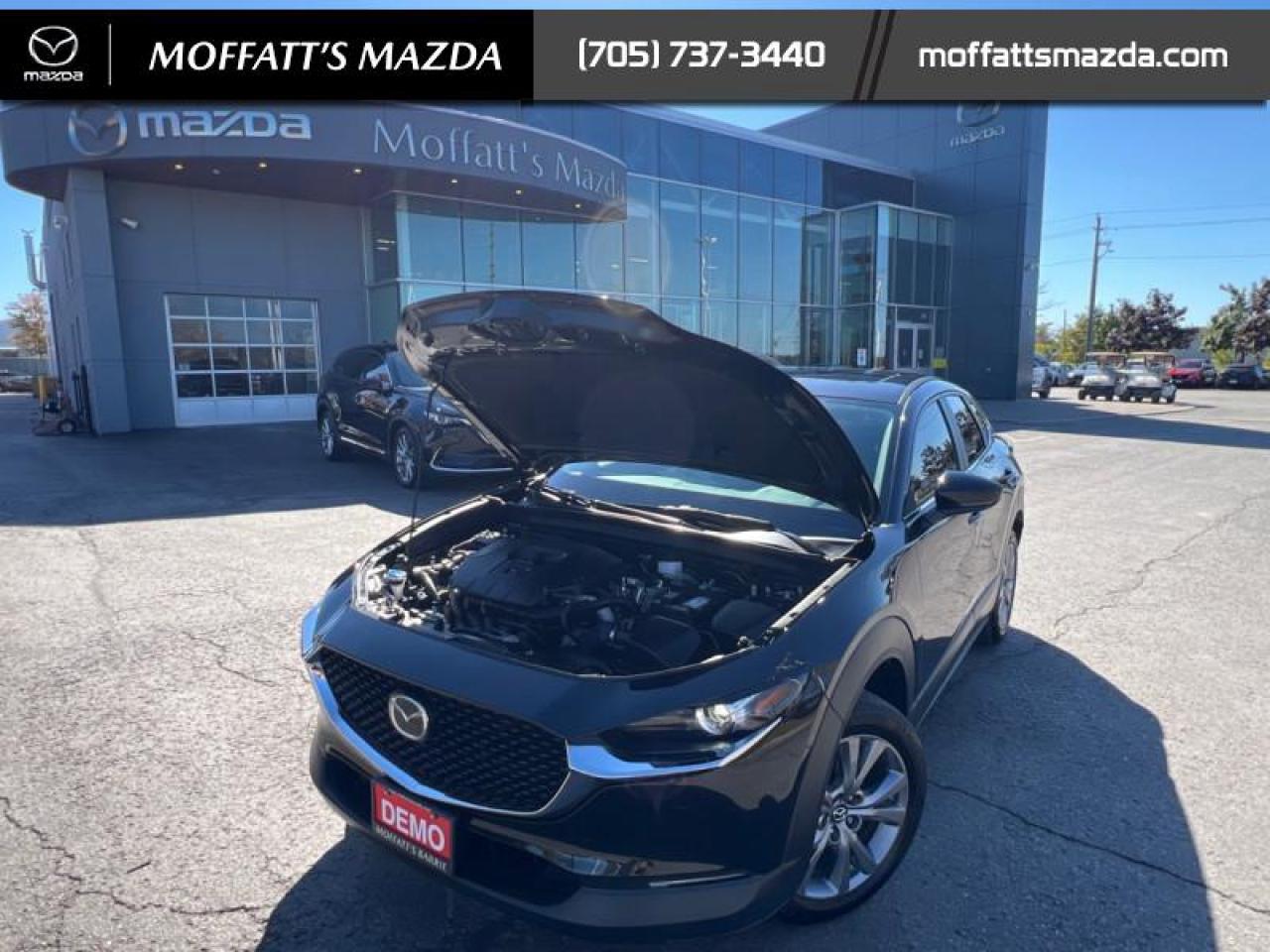 2025 Mazda CX-30 GS Photo