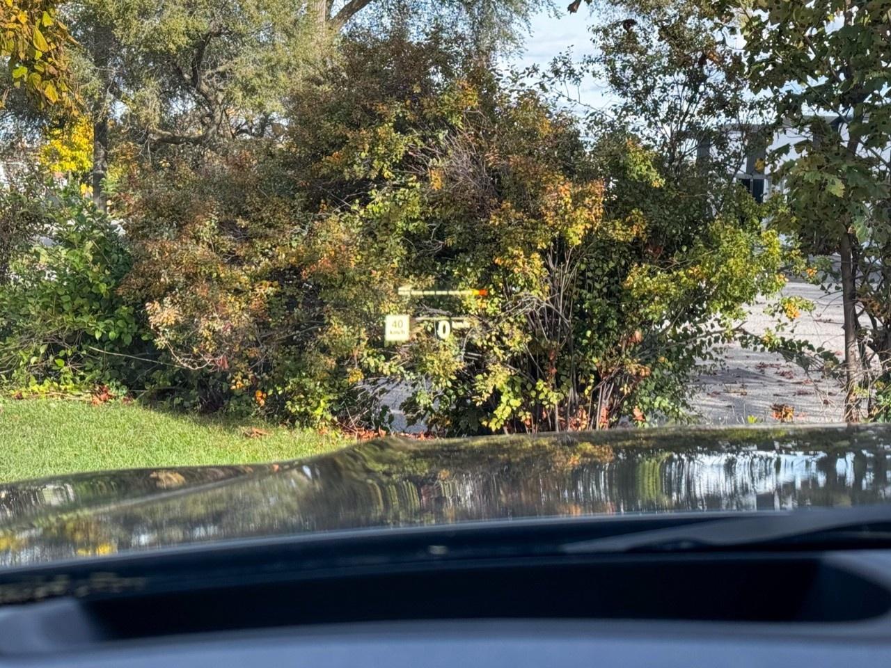 2019 BMW 3 Series Sedan Photo