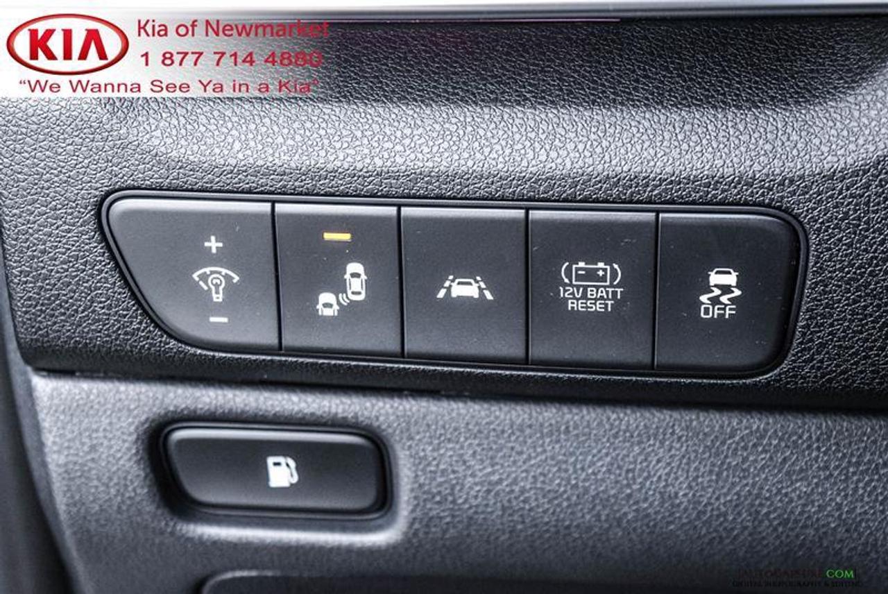 2020 Kia NIRO EX Premium 4dr Front-Wheel Drive Sport Utility Photo
