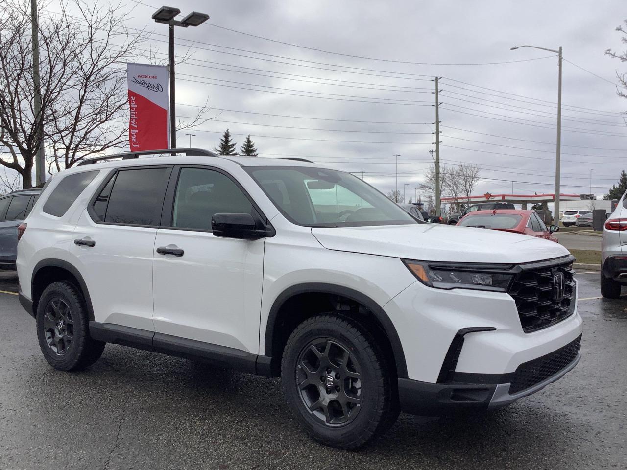 2025 Honda Pilot TrailSport 4dr All-Wheel Drive Photo