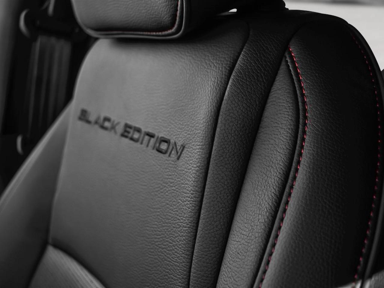 2025 Honda Odyssey Black Edition Passenger Van Photo