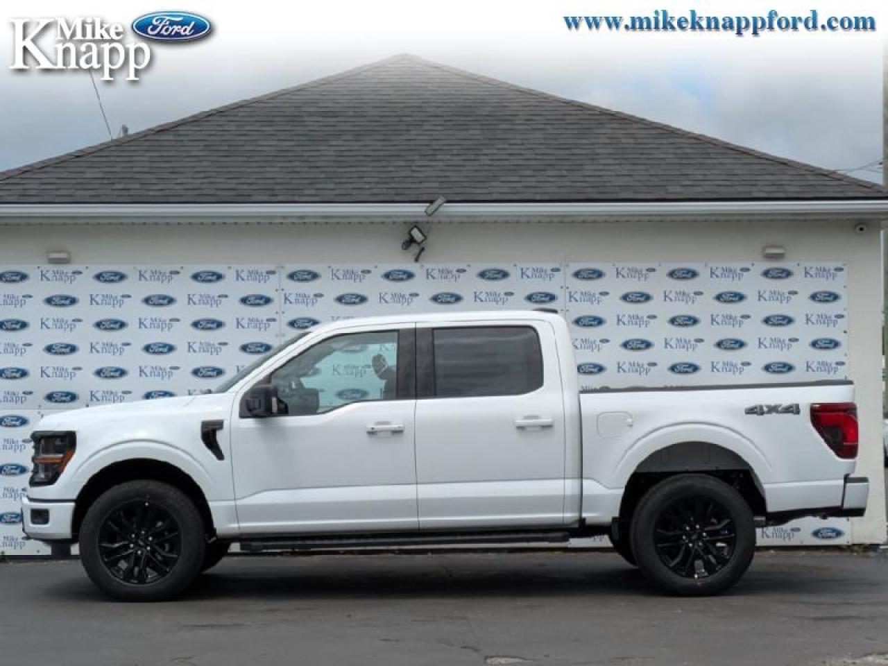 2025 Ford F-150 XLT Photo