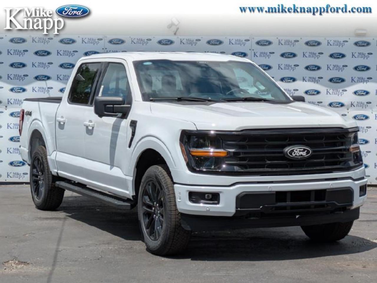 2025 Ford F-150 XLT Photo
