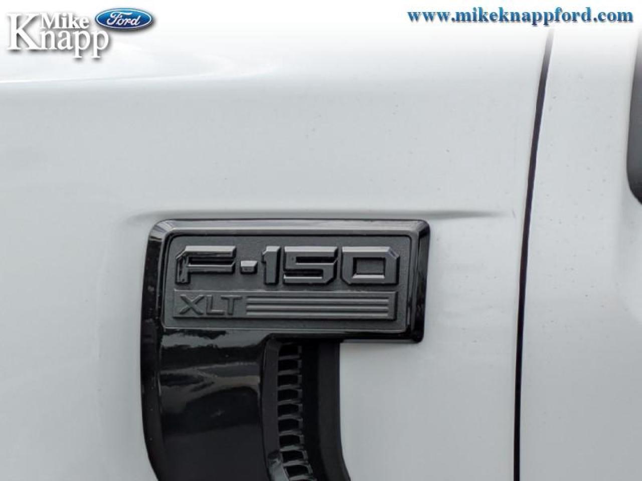 2025 Ford F-150 XLT Photo