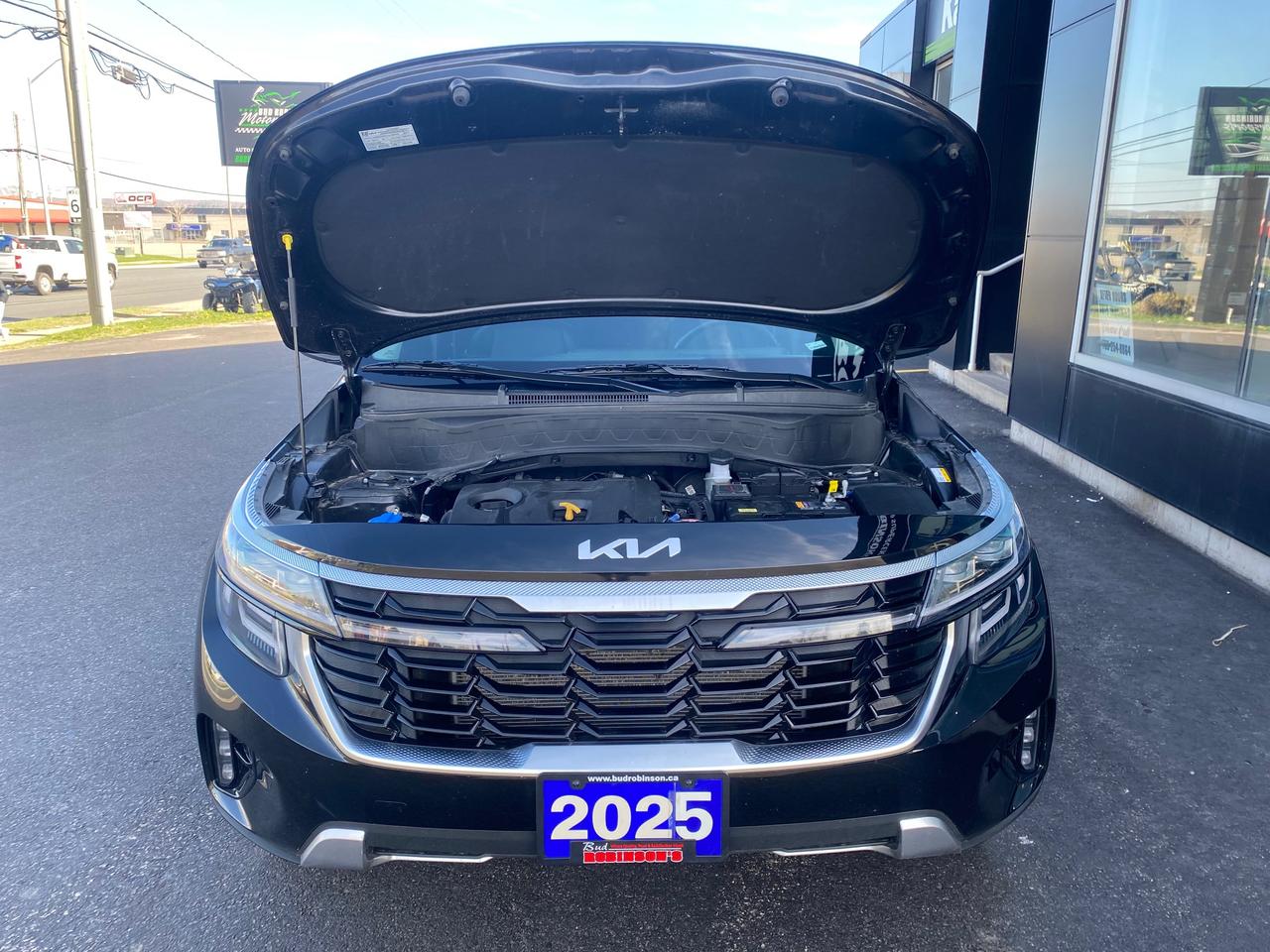 2025 Kia Seltos EX 4dr All-Wheel Drive Photo