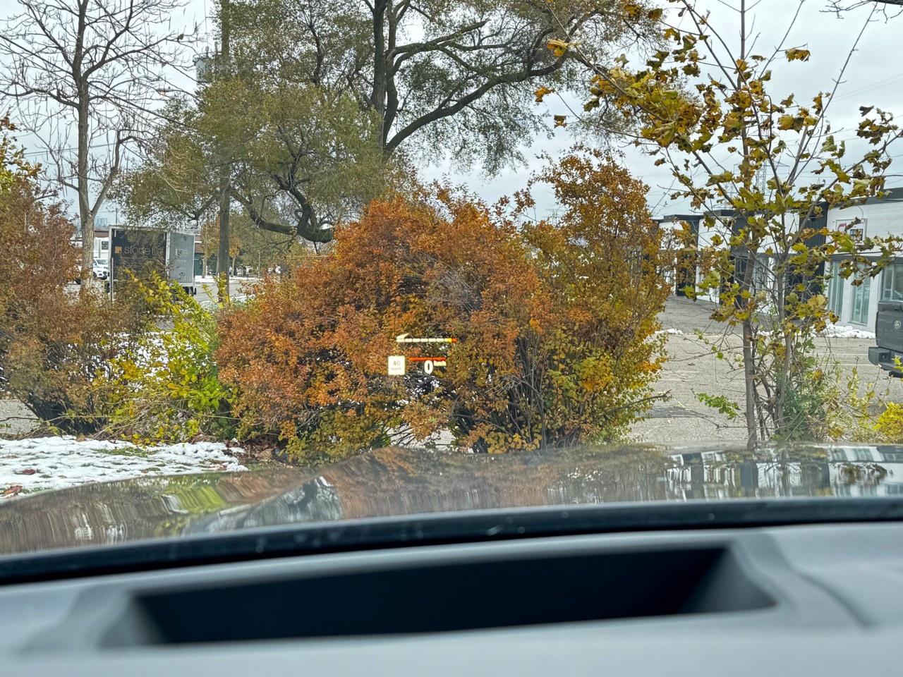 2020 BMW X5 xDrive40i Sports Activity Vehicle Photo