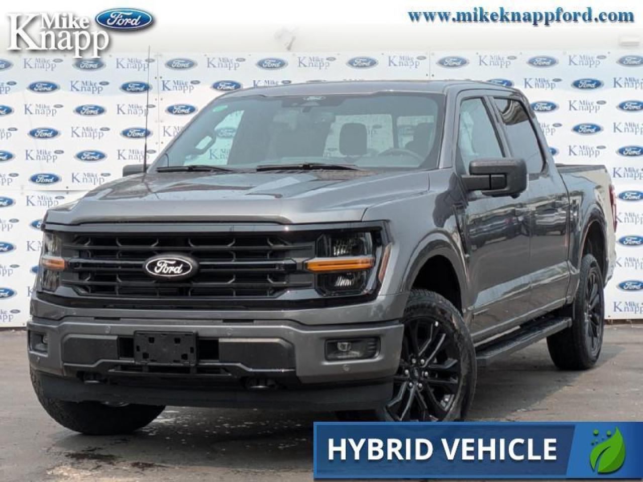 2025 Ford F-150 XLT Photo0