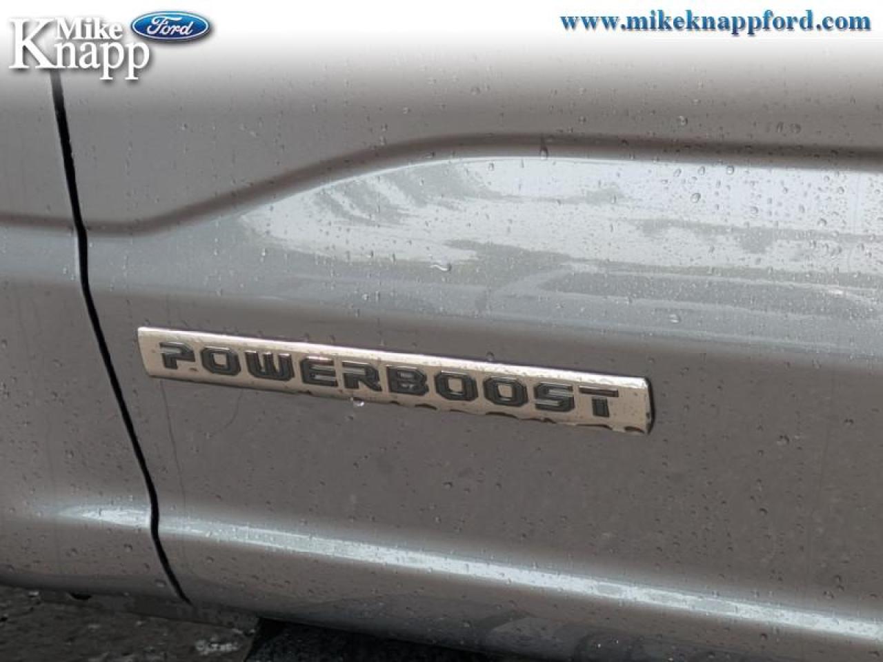 2025 Ford F-150 XLT Photo