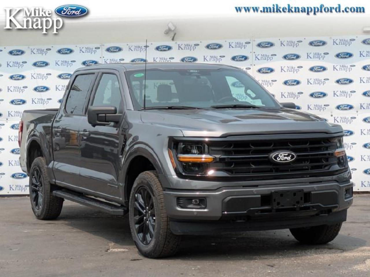 2025 Ford F-150 XLT Photo