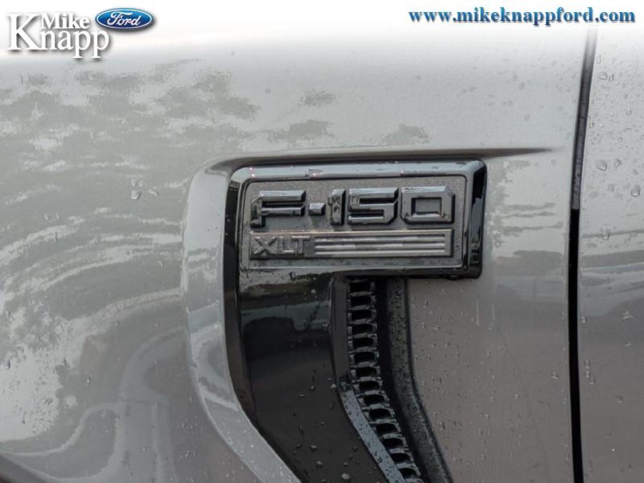 2025 Ford F-150 XLT Photo