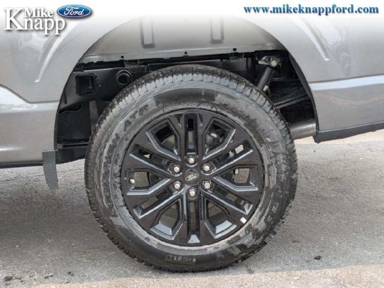 2025 Ford F-150 XLT Photo