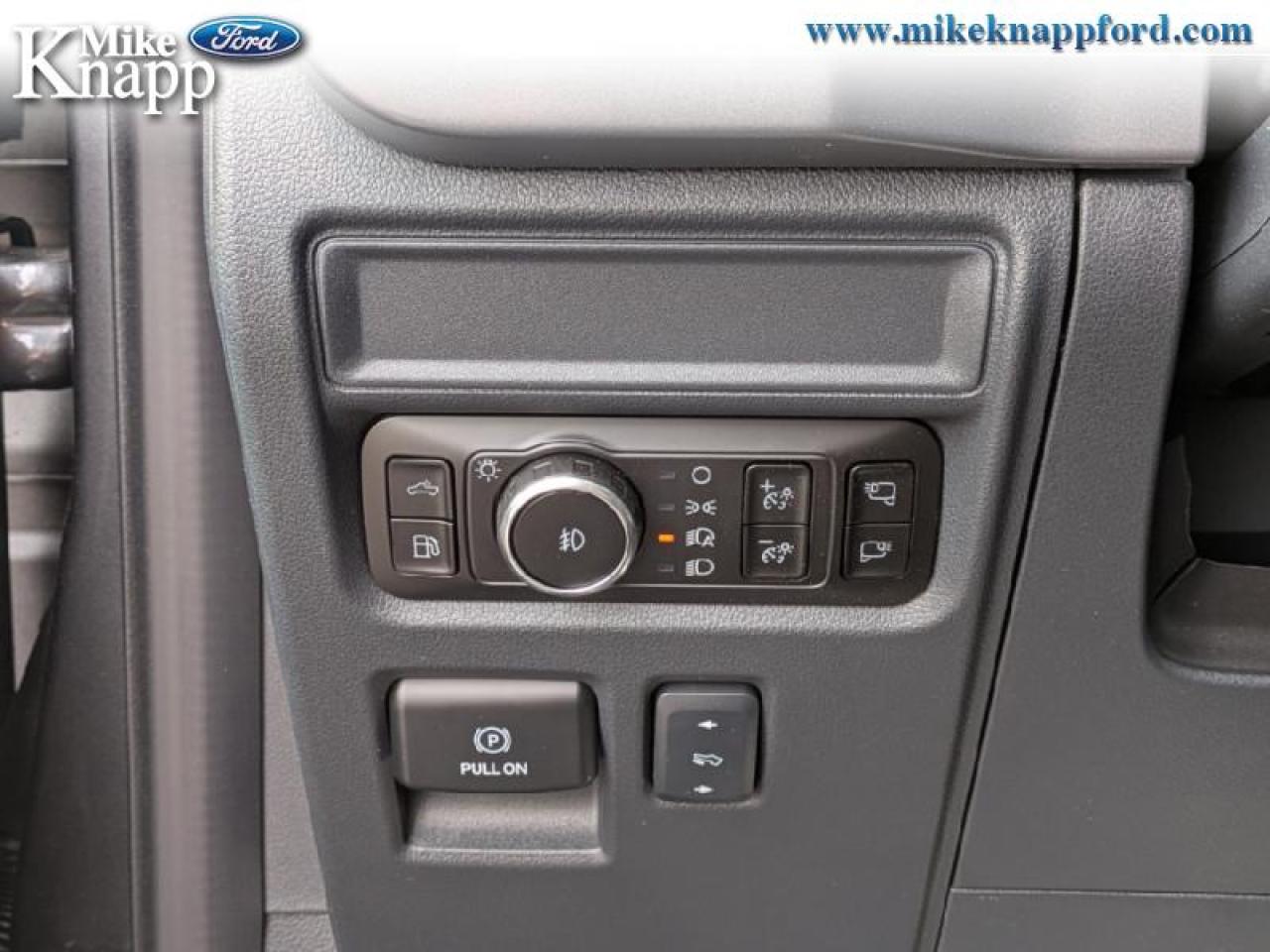 2025 Ford F-150 XLT Photo