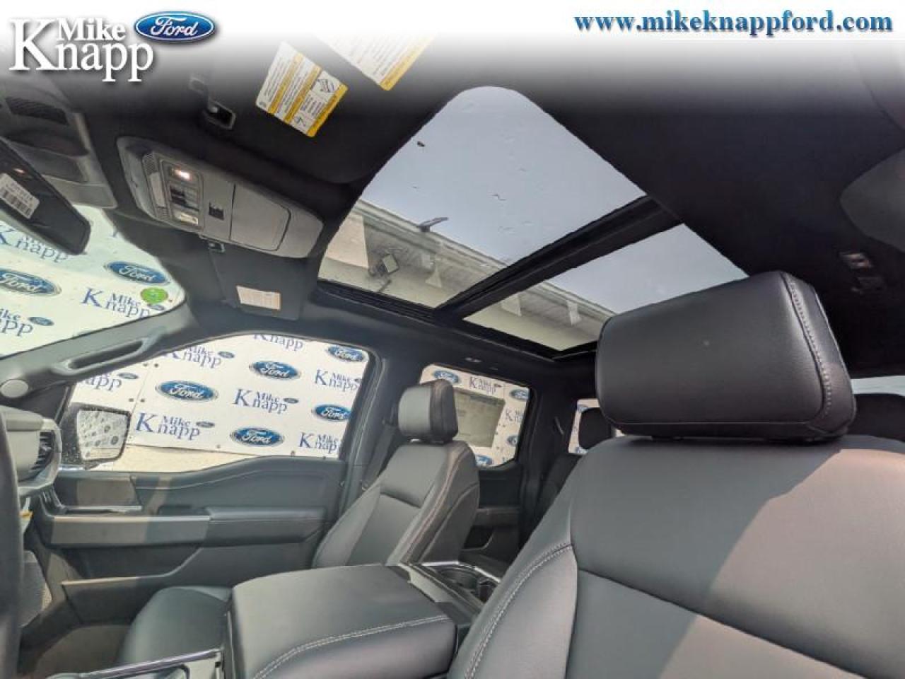 2025 Ford F-150 XLT Photo