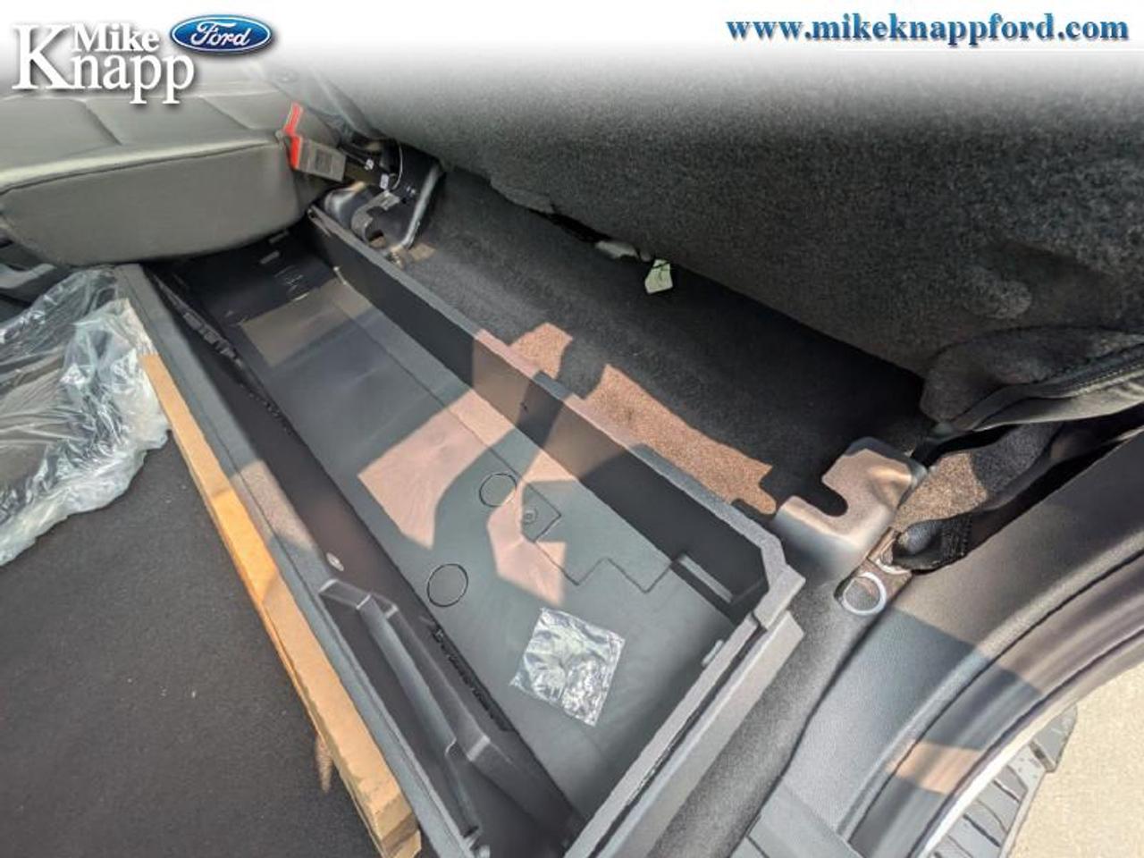 2025 Ford F-150 XLT Photo