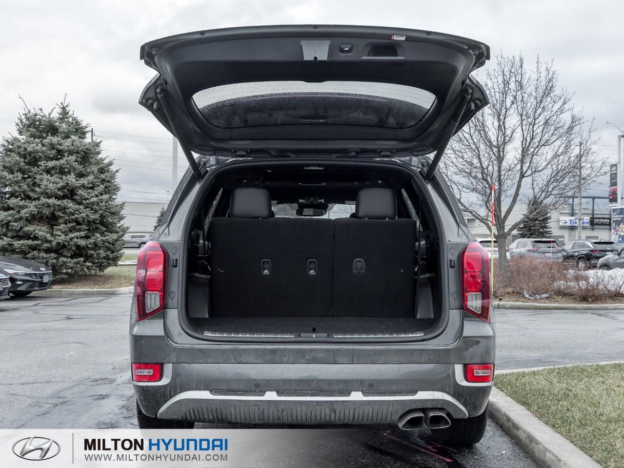 2021 Hyundai PALISADE Ultimate Calligraphy 4dr All-Wheel Drive Photo