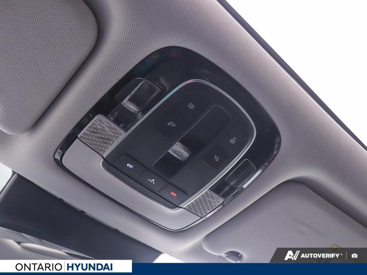 2020 Hyundai PALISADE Luxury 7 Passenger 4dr All-Wheel Drive Photo