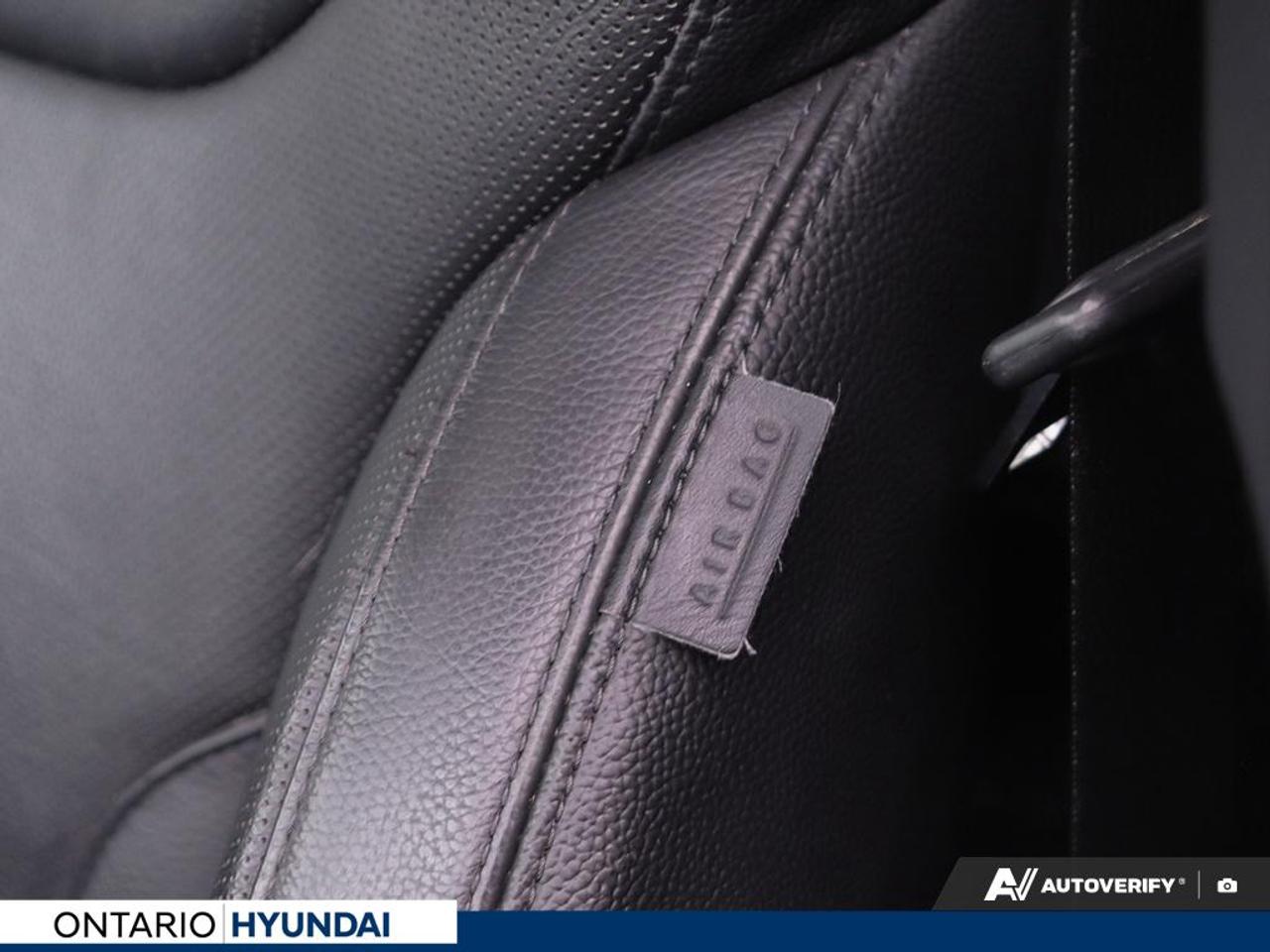 2020 Hyundai PALISADE Luxury 7 Passenger 4dr All-Wheel Drive Photo