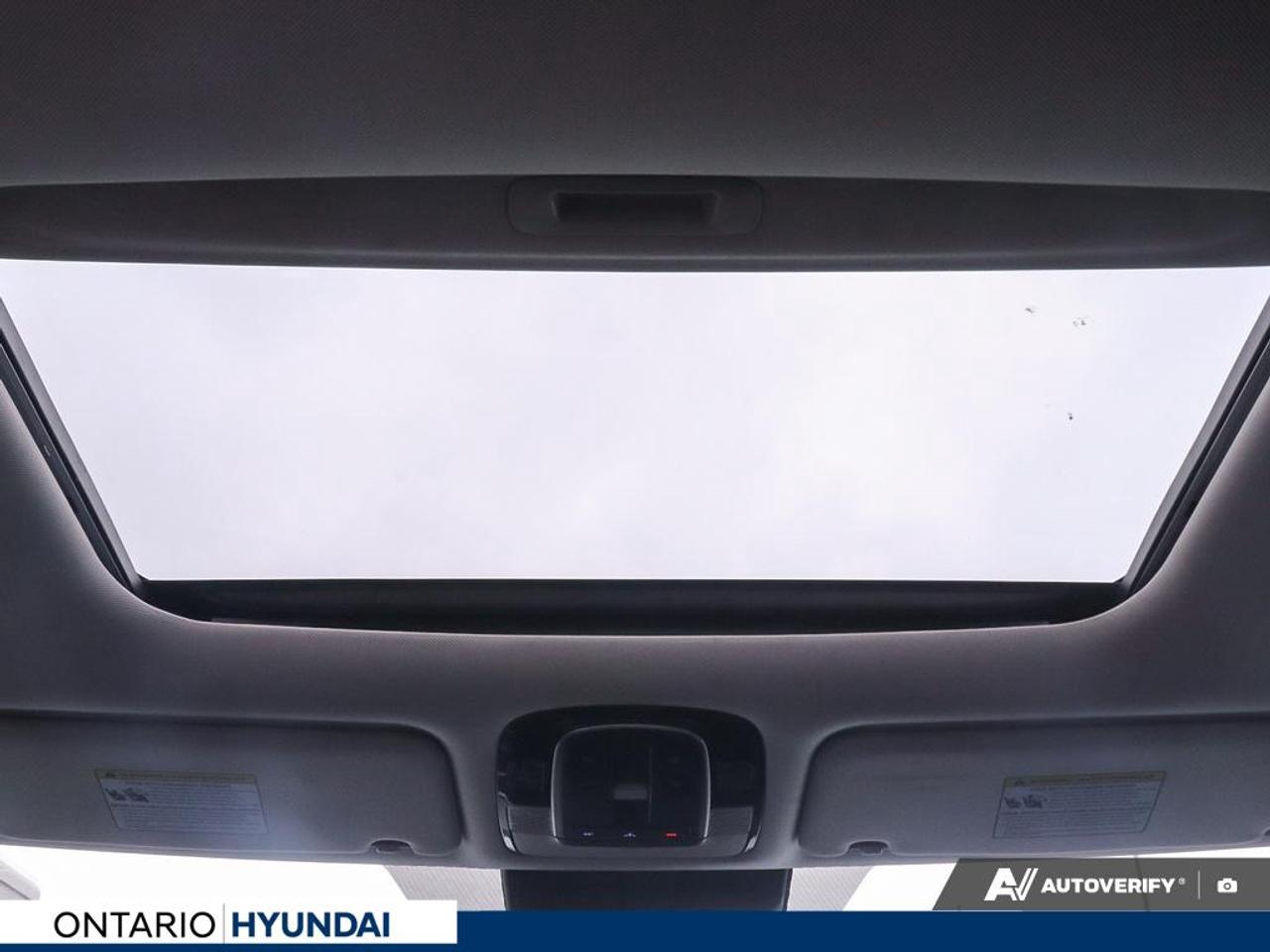 2020 Hyundai PALISADE Luxury 7 Passenger 4dr All-Wheel Drive Photo