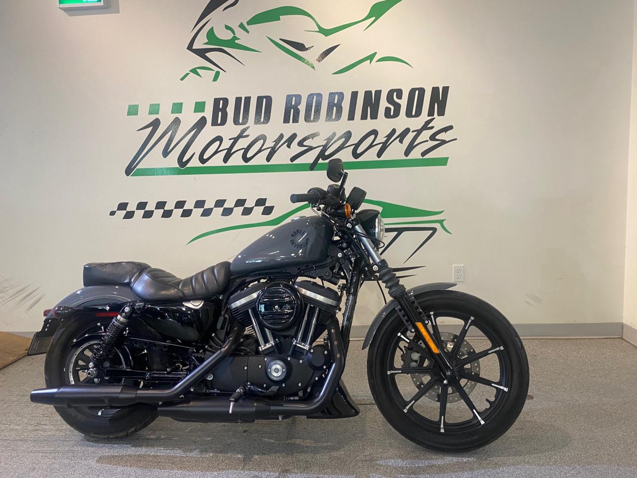 2022 Harley-Davidson SPORTSTER IRON 883  Photo