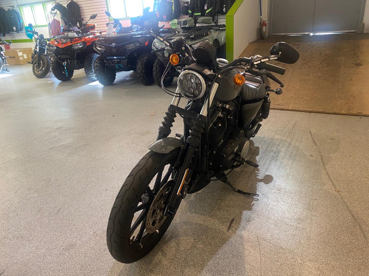 2022 Harley-Davidson SPORTSTER IRON 883  Photo