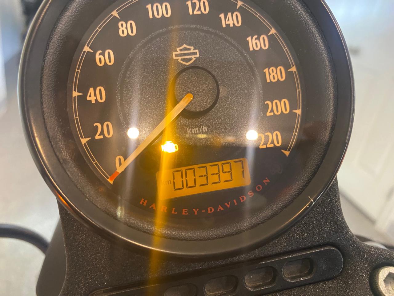 2022 Harley-Davidson SPORTSTER IRON 883  Photo