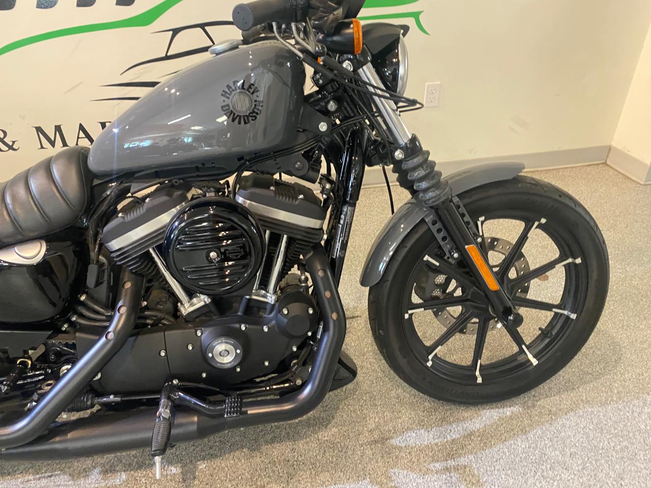 2022 Harley-Davidson SPORTSTER IRON 883  Photo
