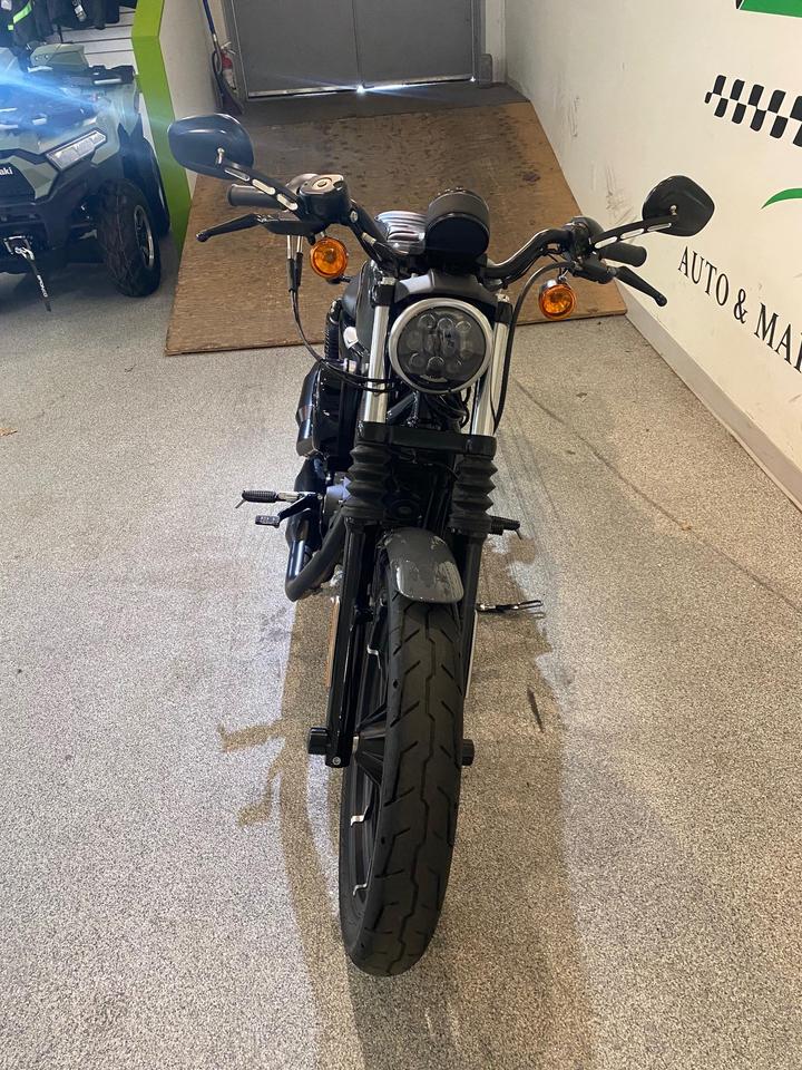 2022 Harley-Davidson SPORTSTER IRON 883  Photo3