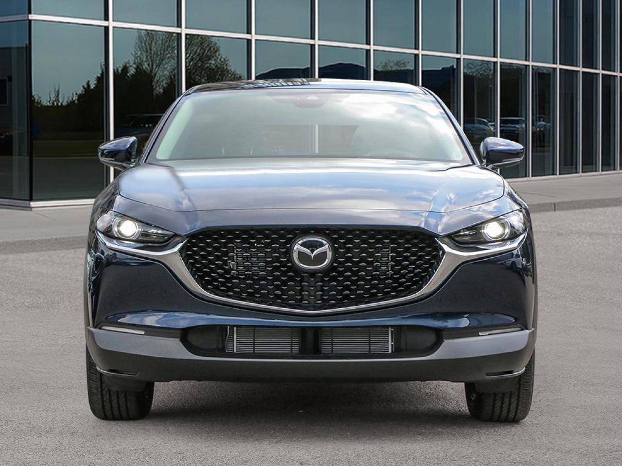 2025 Mazda CX-30 GT 4dr i-ACTIV All-Wheel Drive Sport Utility Photo