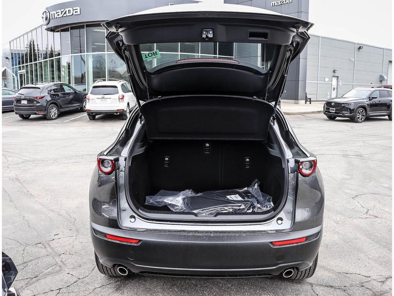 2025 Mazda CX-30 GS 4dr i-ACTIV All-Wheel Drive Sport Utility Photo