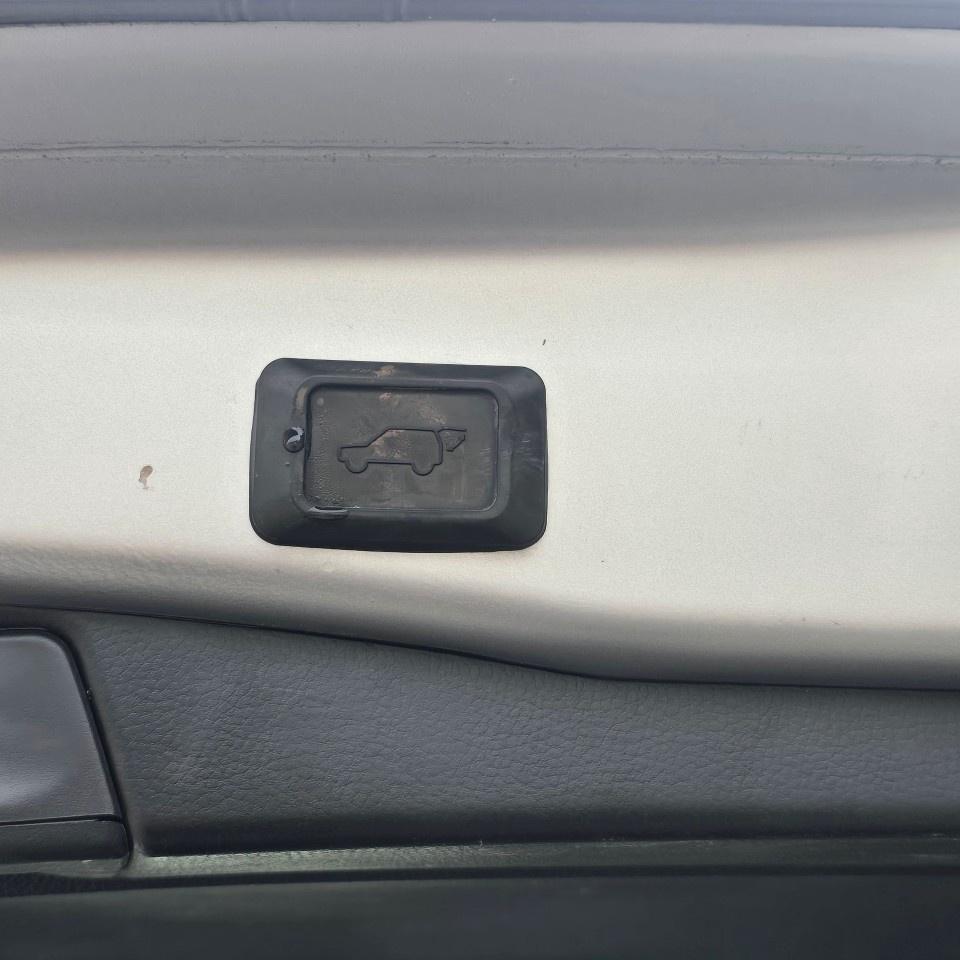 2020 Toyota RAV4 XLE AWD Photo