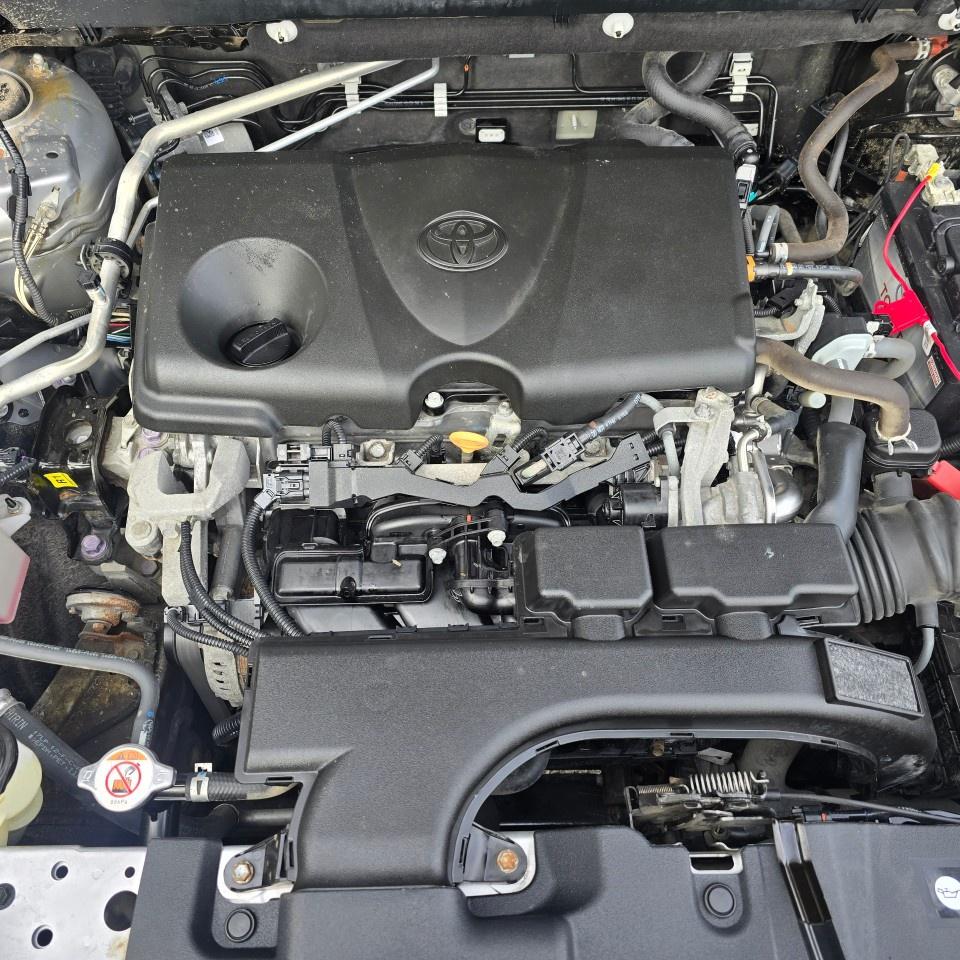 2020 Toyota RAV4 XLE AWD Photo