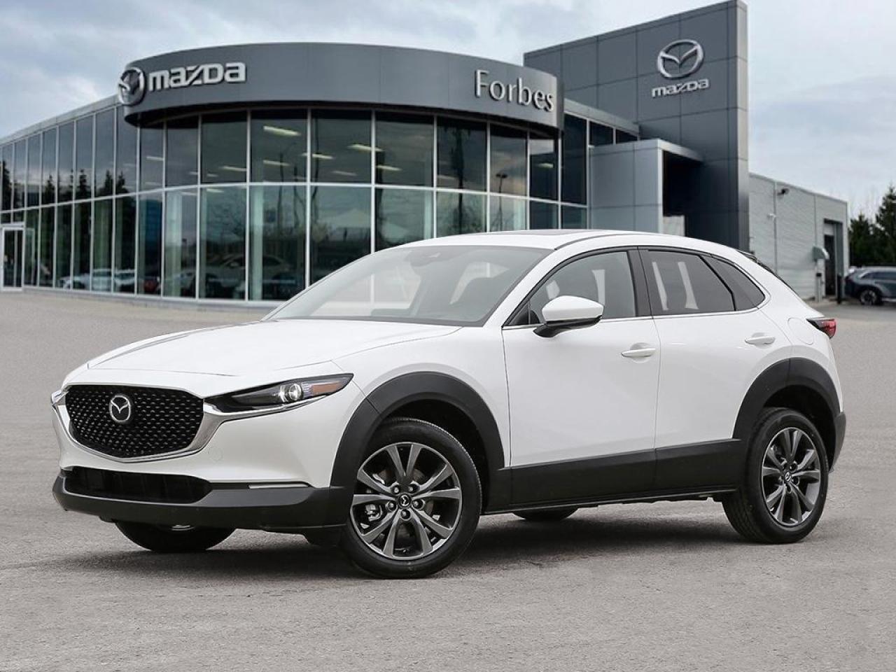 2025 Mazda CX-30 GS 4dr i-ACTIV All-Wheel Drive Sport Utility Photo0