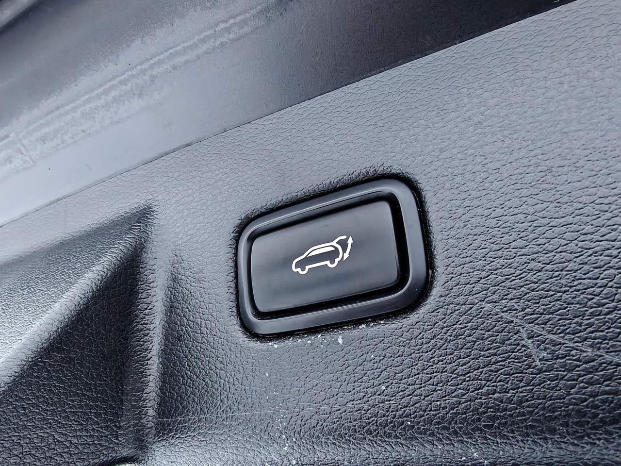 2021 Kia Telluride EX 4dr All-Wheel Drive Photo