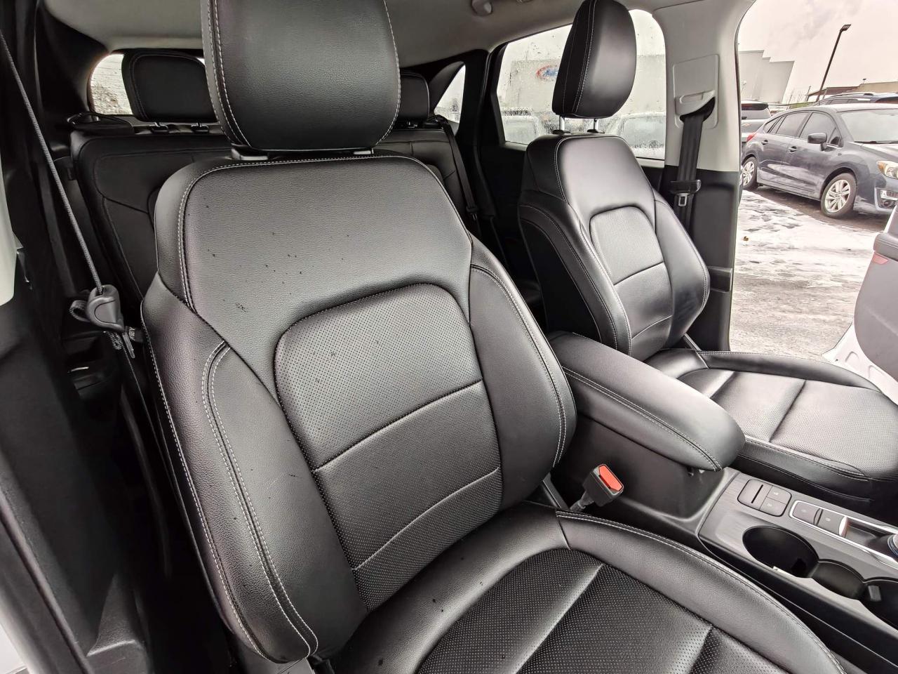 2022 Ford Escape SEL 4dr All-Wheel Drive Photo