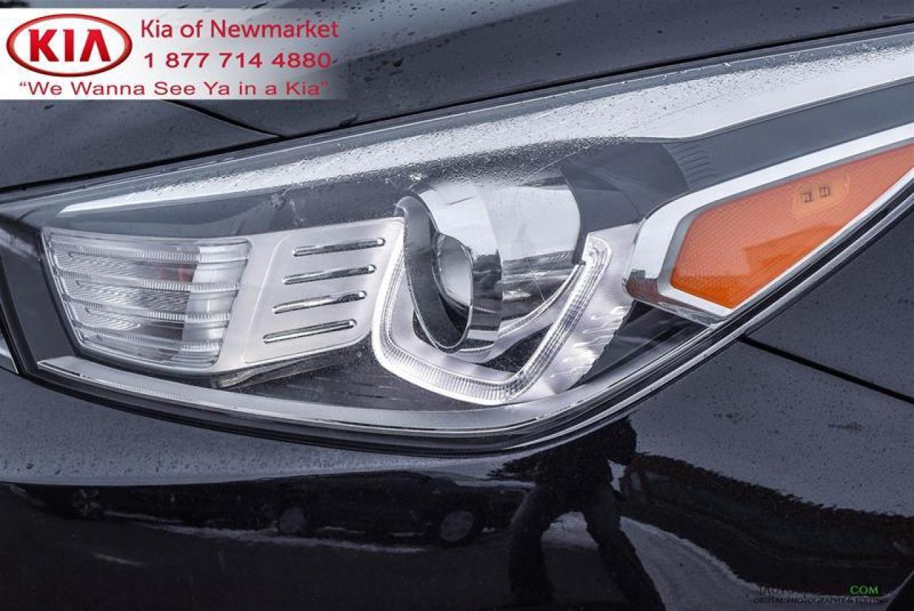 2021 Kia Rio EX Premium 4dr Hatchback Photo